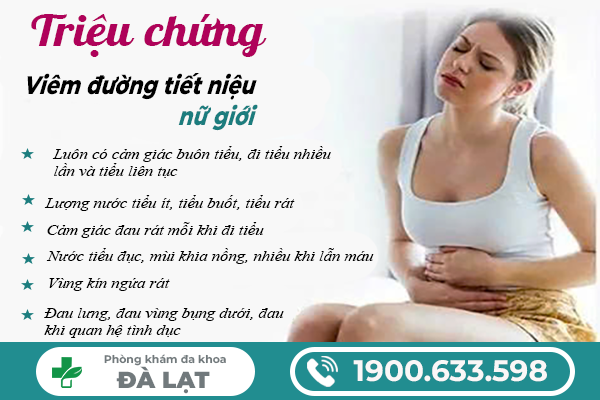 Hình ảnh minh họa